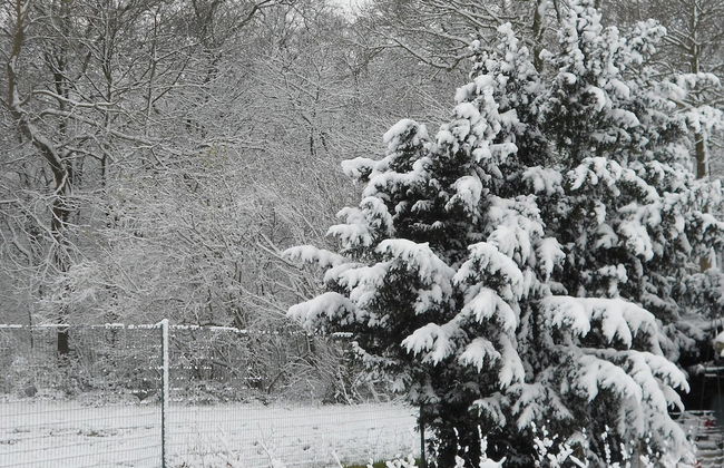 Tranquil Home With BBQ - Photo 24