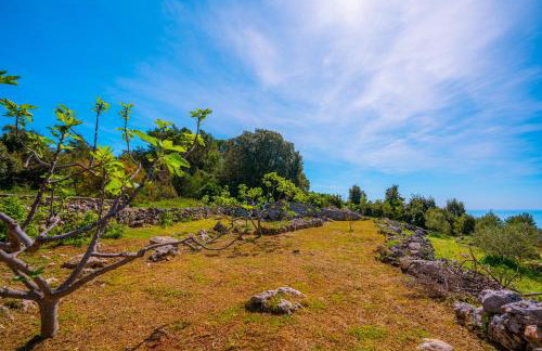 Eco holiday house Cive - Foto 47