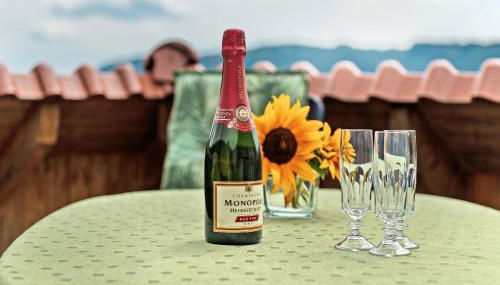 Ferienwohnung Bodenseeblick - Foto 3