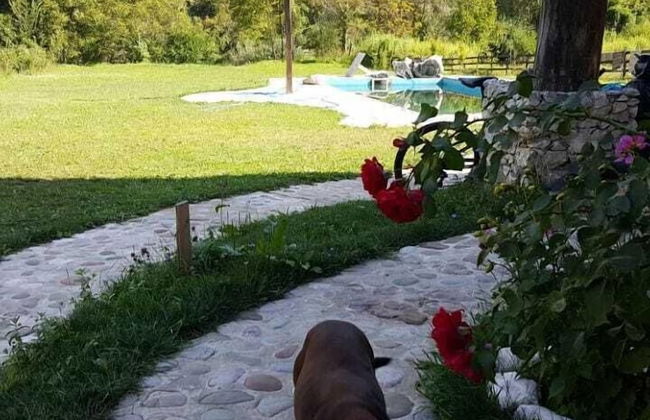 Exo Log Cottage - Foto 40