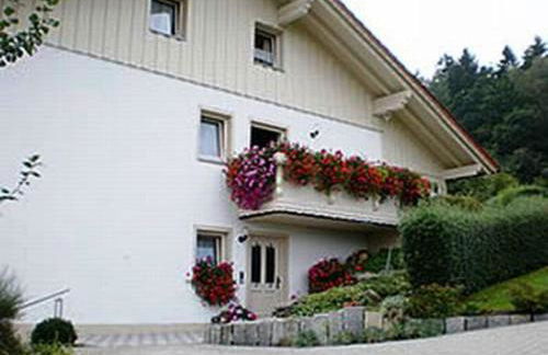 Haus Bergblick Bay. Wald - Foto 13