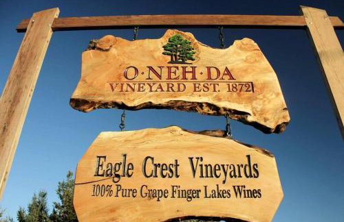 The Modern Forge NY, Honeoye Lake - Foto 12