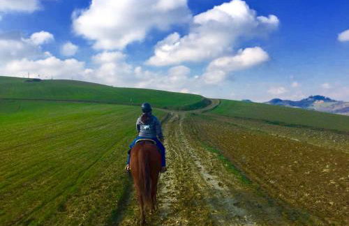 Agriturismo Il Colle del Falco - Photo 38
