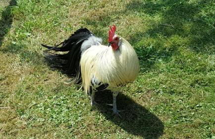 Gîte Insolite Les Tonneaux Sa vue Magnifique et Panoramique - Foto 22