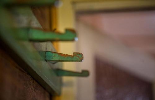 MorzeLas Chata Białowieża - Foto 21