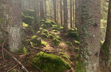 Chalet La Felize - Foto 16