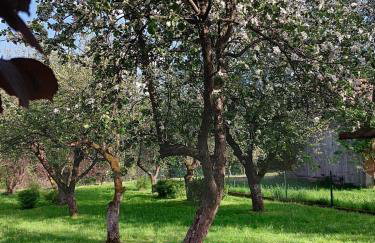 Agroturystka Dom w Owocowym Sadzie - Foto 18