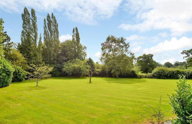 Peak Manor - Photo 17