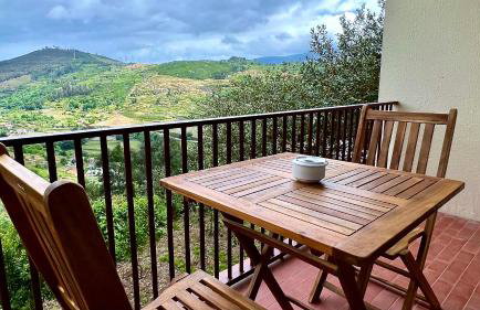 Private Douro- Quinta das Susandas - Foto 35