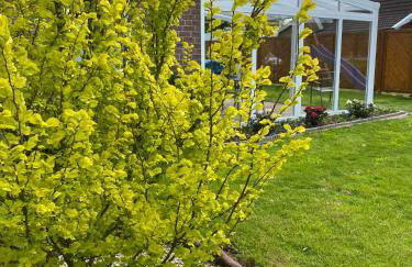 Ferienhaus Sandhöcht - Photo 21