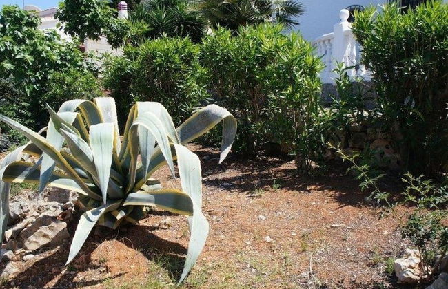 Relaxing Garden Stay, Denia - Foto 31