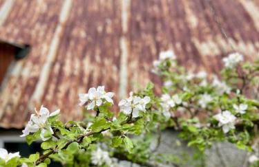 Cosy Country House in Deeside - Foto 22