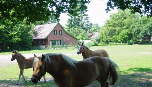 Bernard Meyborg - Foto 3