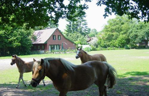 Bernard Meyborg - Foto 3