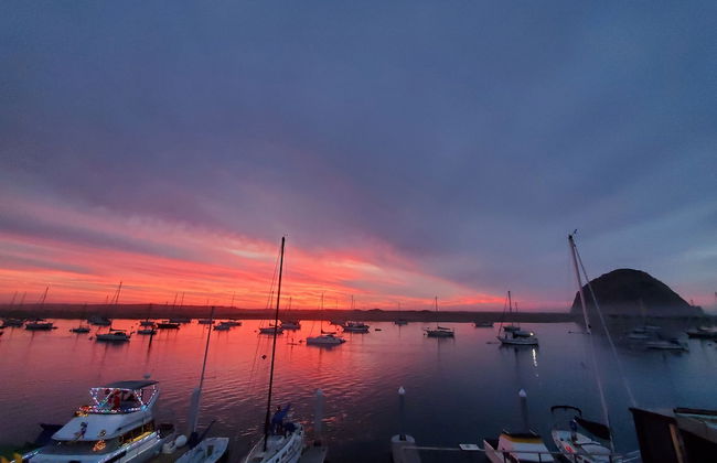 Gray's Inn & Gallery - Foto 50