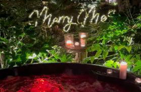 Natures Edge Cabin - Photo 21