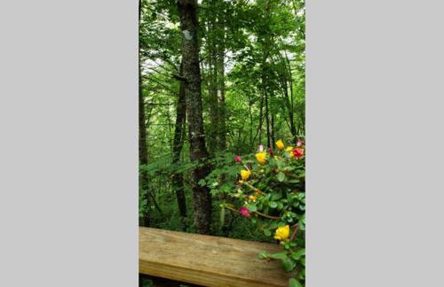 Sky Valley Casa Dolce Vita - Foto 67