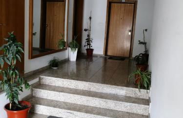 Congidouro - Foto 27