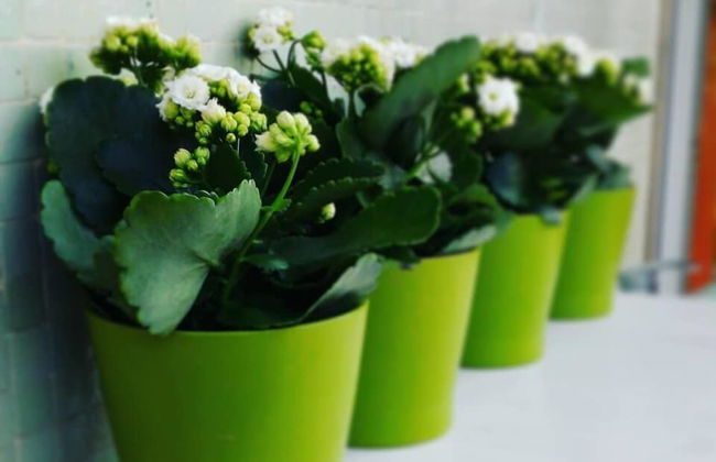 My Room in Trani - Foto 40