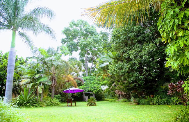 Lush Gardens Apartment 1 - Photo 17