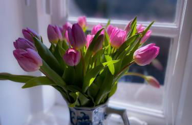 Carrow Cottage - Foto 9