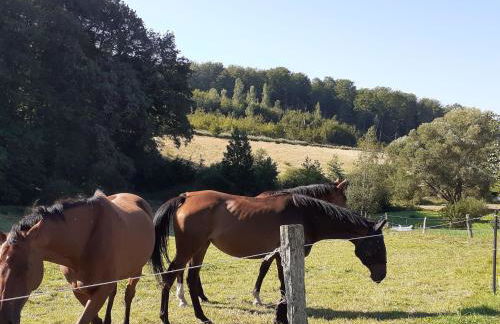 Charmante maisonnette en pierre près d'Épinal - FR-1-589-804 - Foto 12