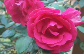 Rifugio Valentina - Foto 8