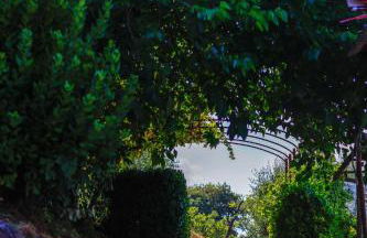 AGRITURISMO TERRA VOLONTERI - Foto 9