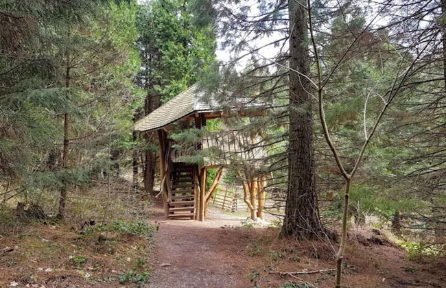 Wohnung in Bad Grund - Foto 35