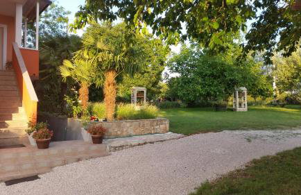 Apartments Davor - Photo 18