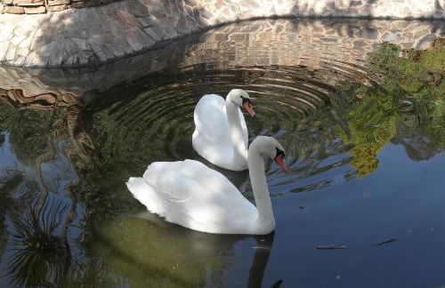Salgadinho Casa de Campo & Selao da Eira Velha - Foto 19