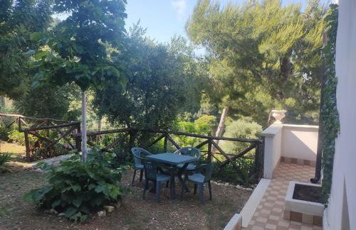 Lunamora 4 - Foto 22