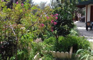 Koutadelias rooms - Foto 74