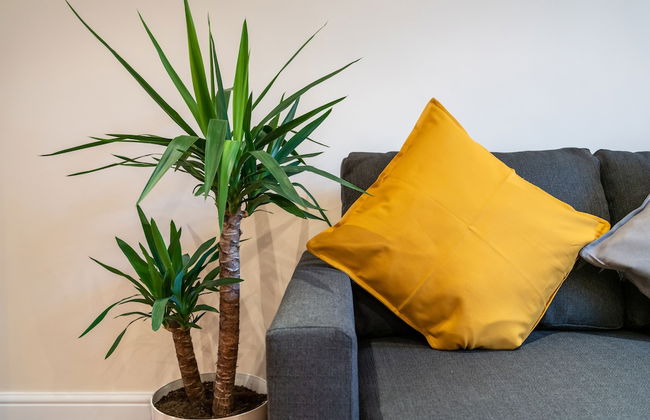 1bd Apt for 2-4. New Decor & Furnishings - Foto 25