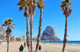 Boho Arenal Bol - Foto 46