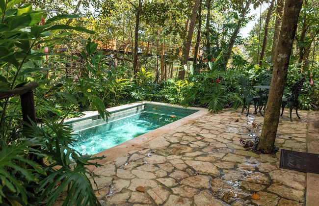 The Grand Forest Jarabacoa - Photo 74