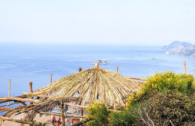 Dea Afrodite - Foto 2