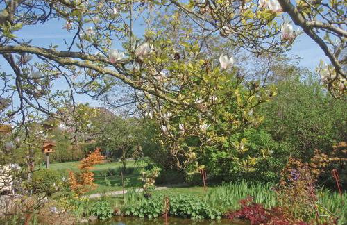 Fewo Glücksburg - Foto 8