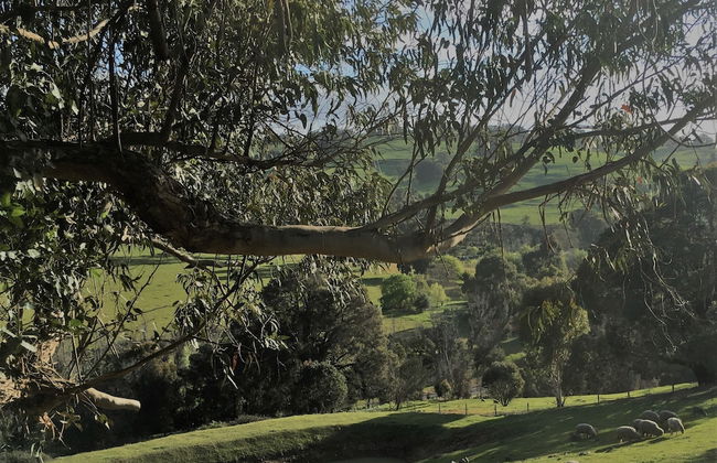 Balingup Highview Chalets - Foto 32