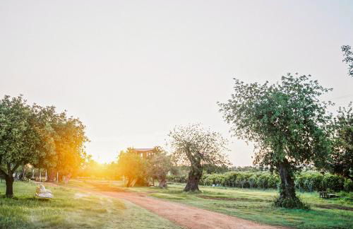 Conversas de Alpendre - Foto 28