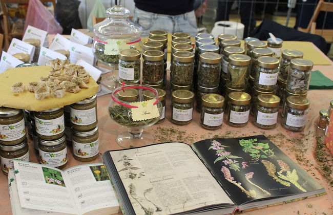 Country House Erba Regina - Foto 22