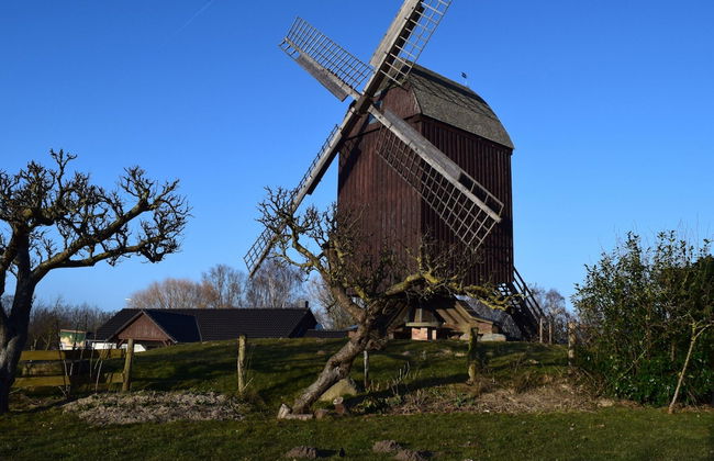 Thatched Holiday Home in in Freest With Fireplace Stove - Foto 8