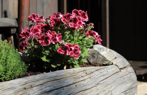 Haus Bergfrieden Seiser Alm Bahn - Foto 41