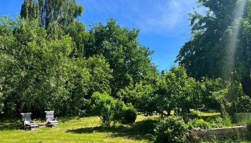 Landhaus Maltzien - Auszeit auf dem Land - Foto 5, Garden