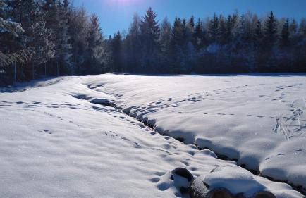 Ferienwohnung Erzgebirgswohnung Götze - Foto 46