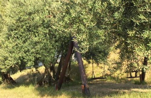 Casale degli ulivi - Foto 24