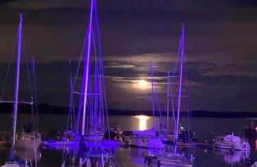 Hausboot Albatros - Foto 23