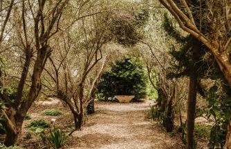 La Carrasca - Foto 45