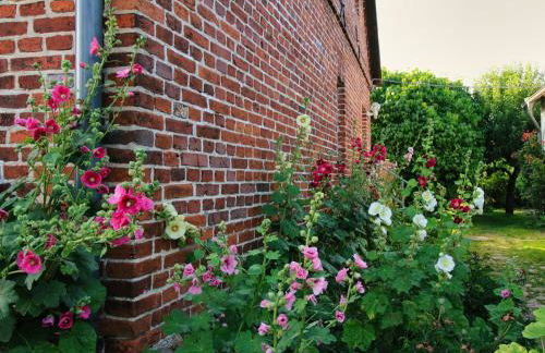 Ferienhaus Makrele von 1877 - Foto 9