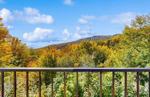 Lincoln Peak Retreat - Foto 24